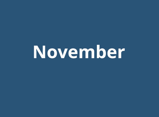 11月