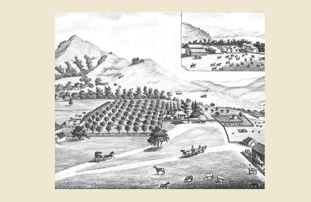 Adobe Wall.