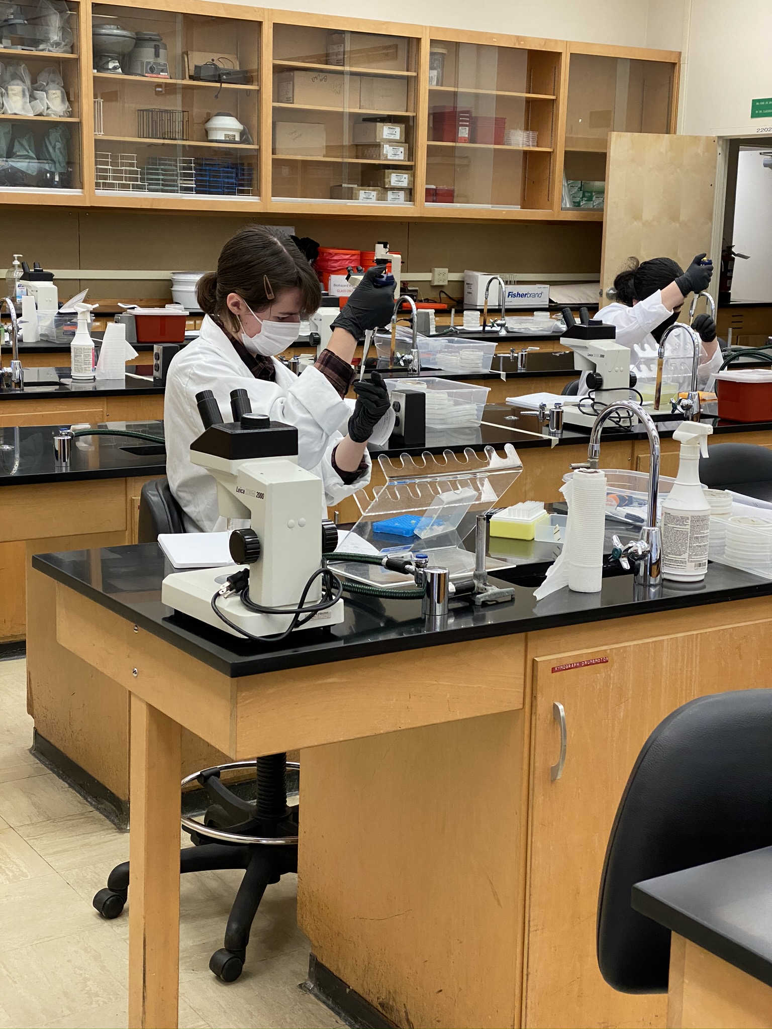 Bio 210M pic2.