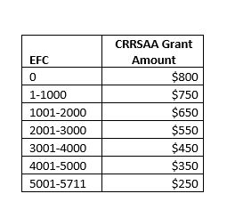 CRRSAA Grant表